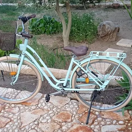 Orion Финике